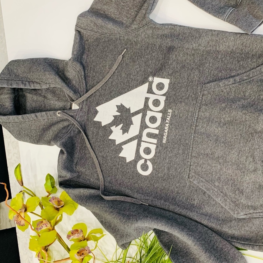 T21- Canada Niagara Falls Gray Hoodie Size S
